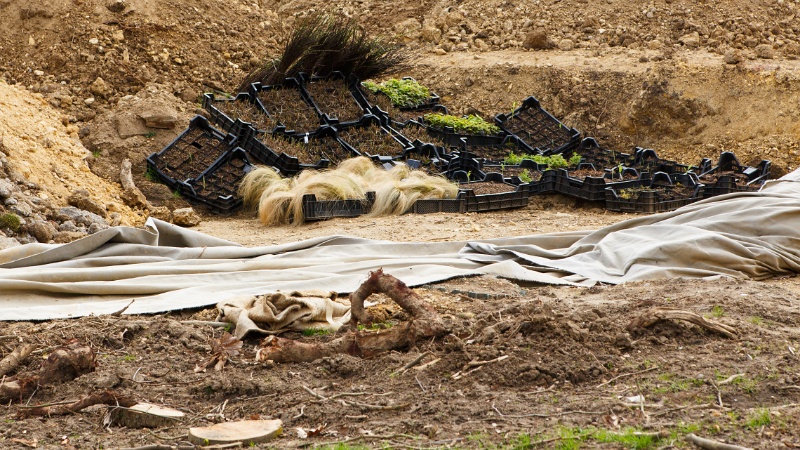 2013-04-15-163832-parc-OK